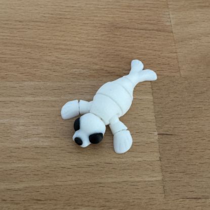 Hareketli Fok Balığı resmi